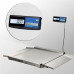 Купить Весы платформенные с пандусом Масса-К 4D-LA.S-10/10-1000-A(RUEW) от Масса-К